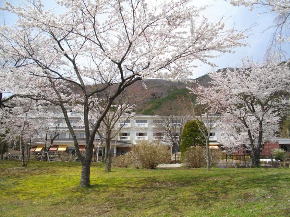 河口湖溫泉酒店-西湖-住宿-足和田
