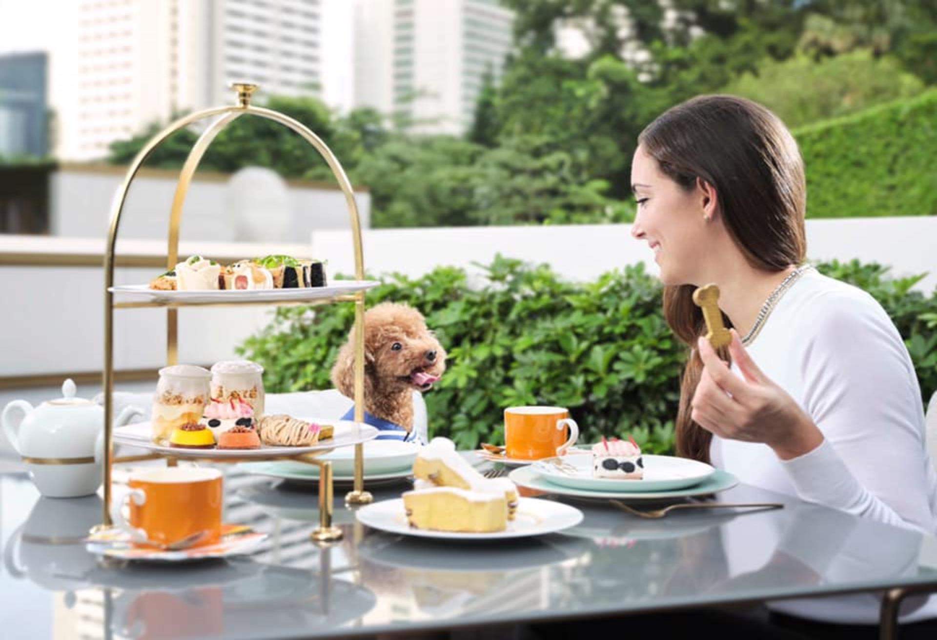 The Murray,尼依格羅酒店,香港寵物酒店,The Murray, Hong Kong, a Niccolo Hotel