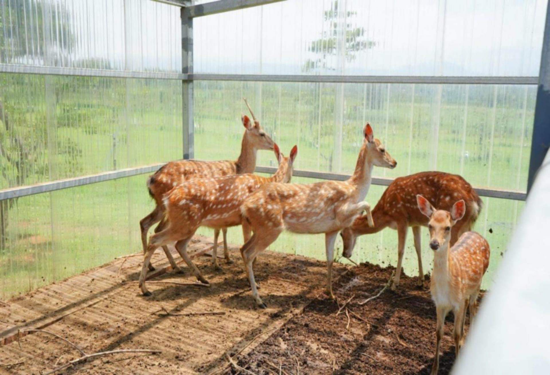 嵐翎白砂渡假莊園,台灣親子酒店,台灣親子酒店推介,台灣親子酒店 兒童俱樂部,台灣親子旅館,台灣親子渡假村