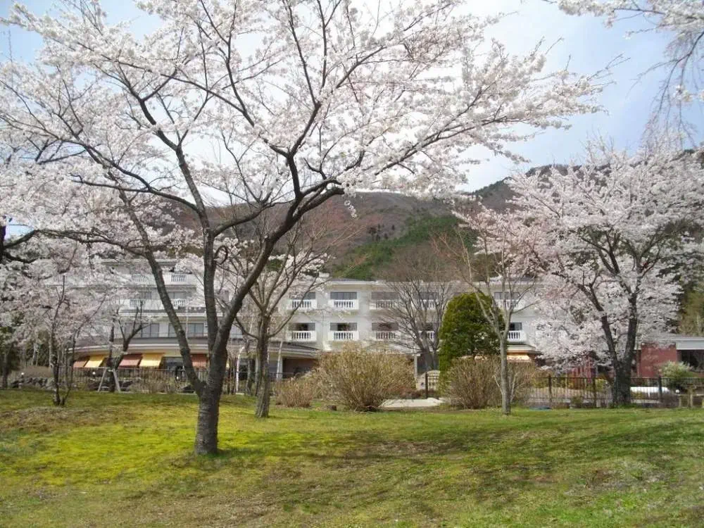 河口湖溫泉酒店-西湖-住宿-足和田
