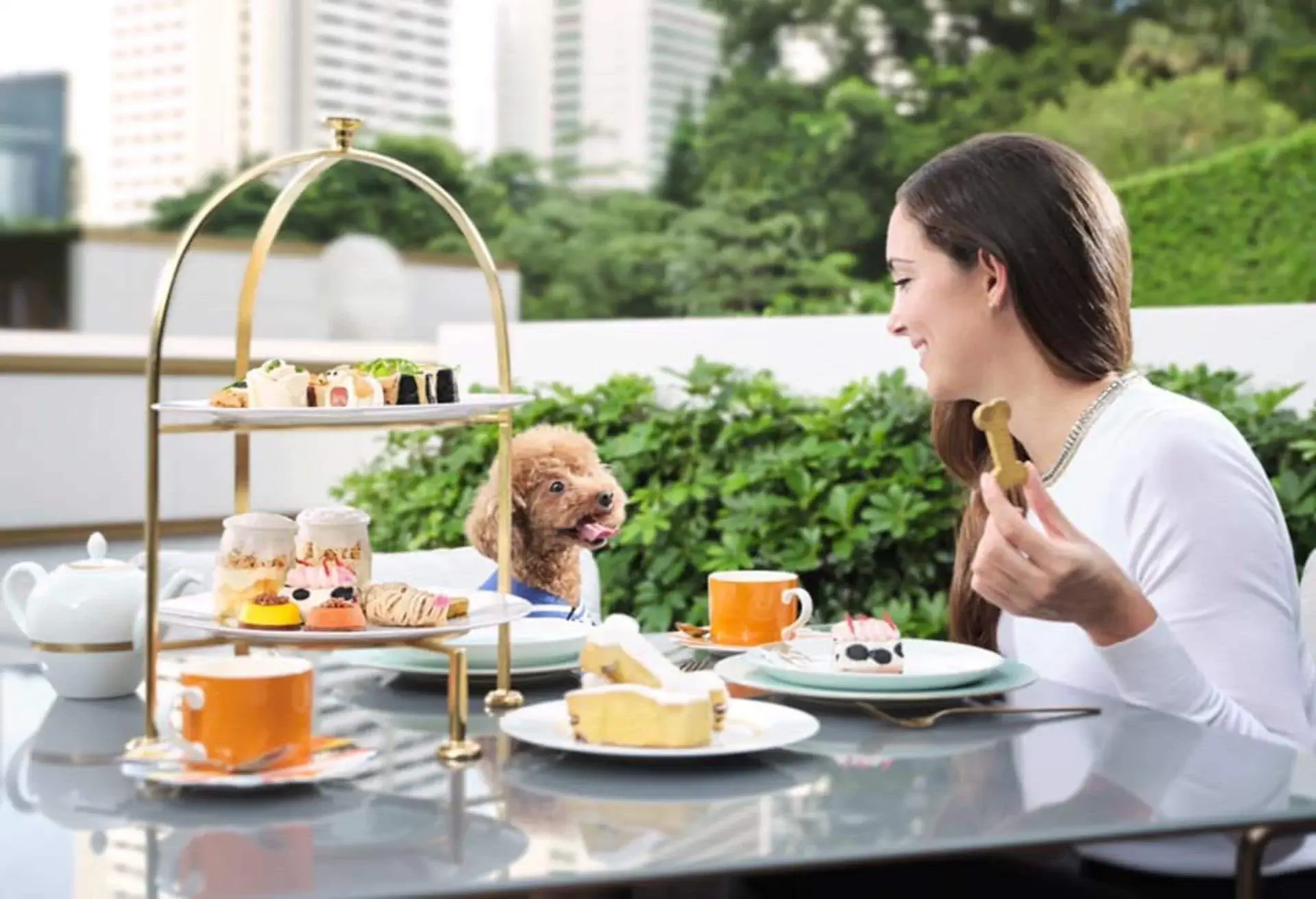 The Murray,尼依格羅酒店,香港寵物酒店,The Murray, Hong Kong, a Niccolo Hotel