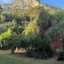室外景
