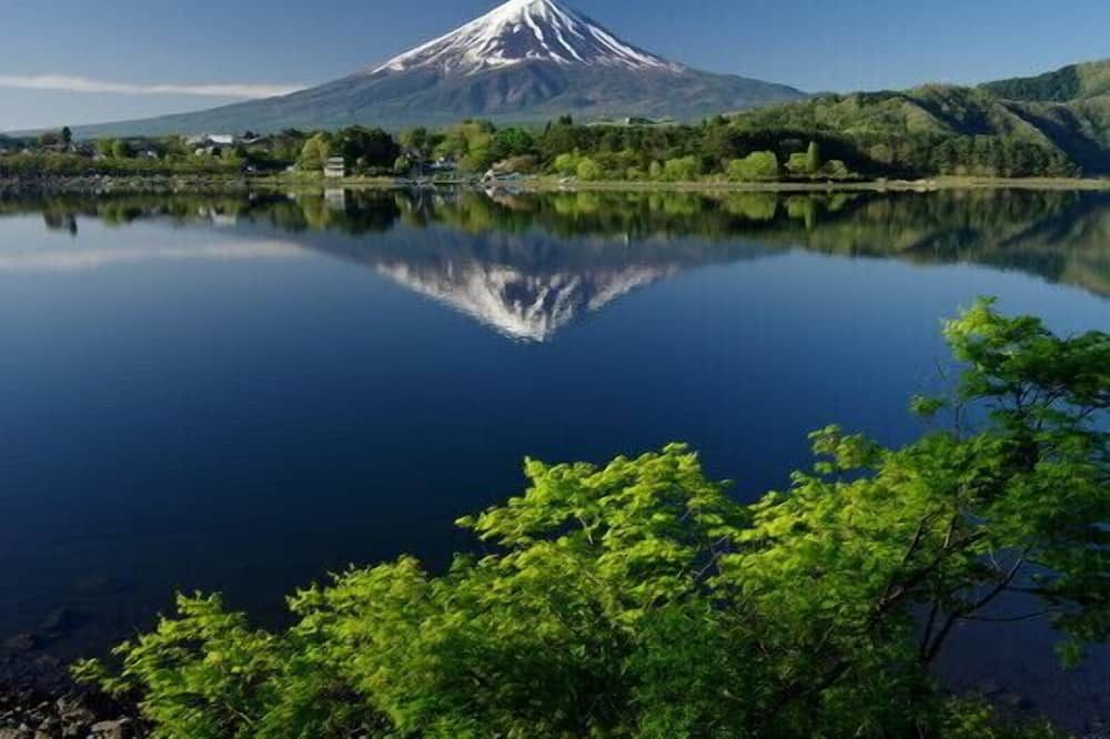 室外景 相片