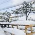 室外景