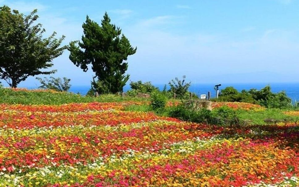 室外景 相片
