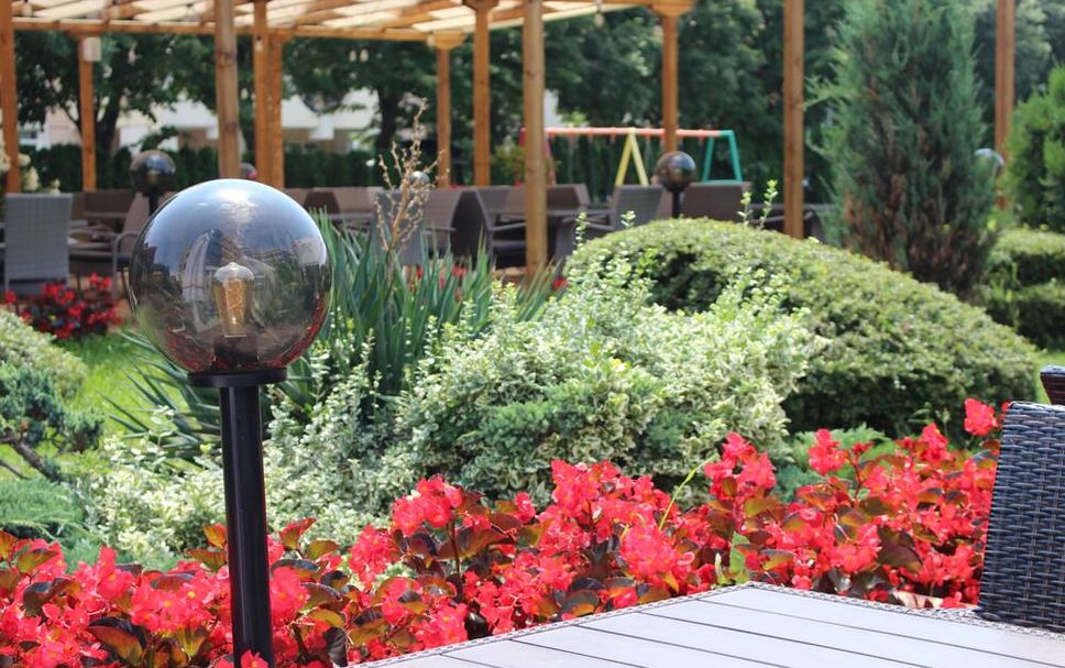 天井 相片