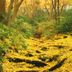 室外景