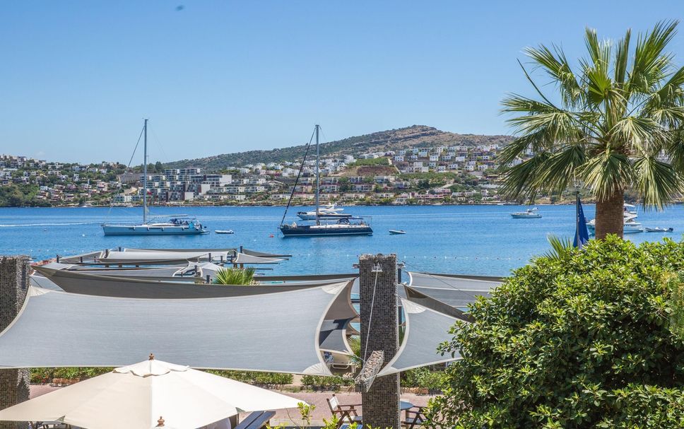 室外景 相片