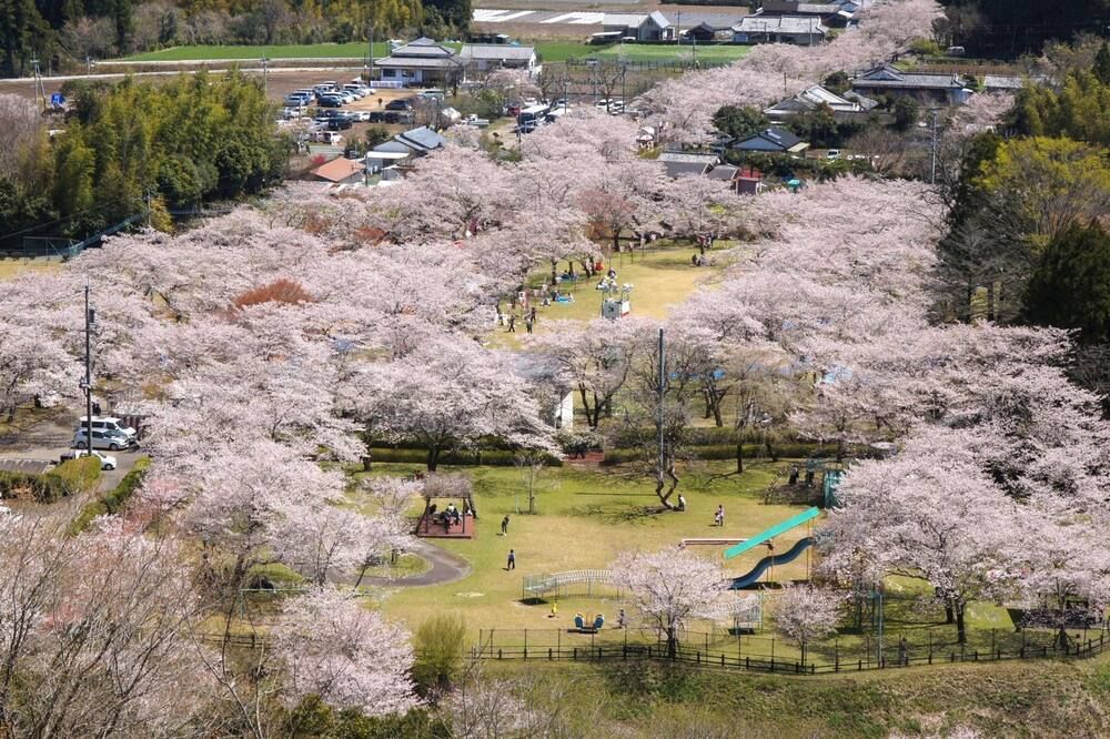 室外景