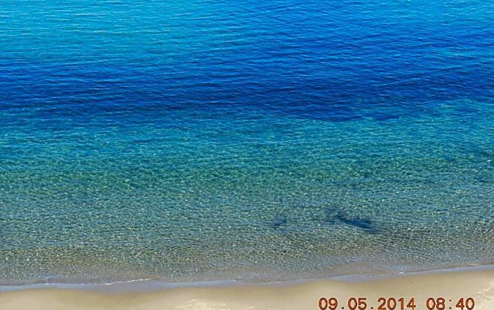 海灘 相片