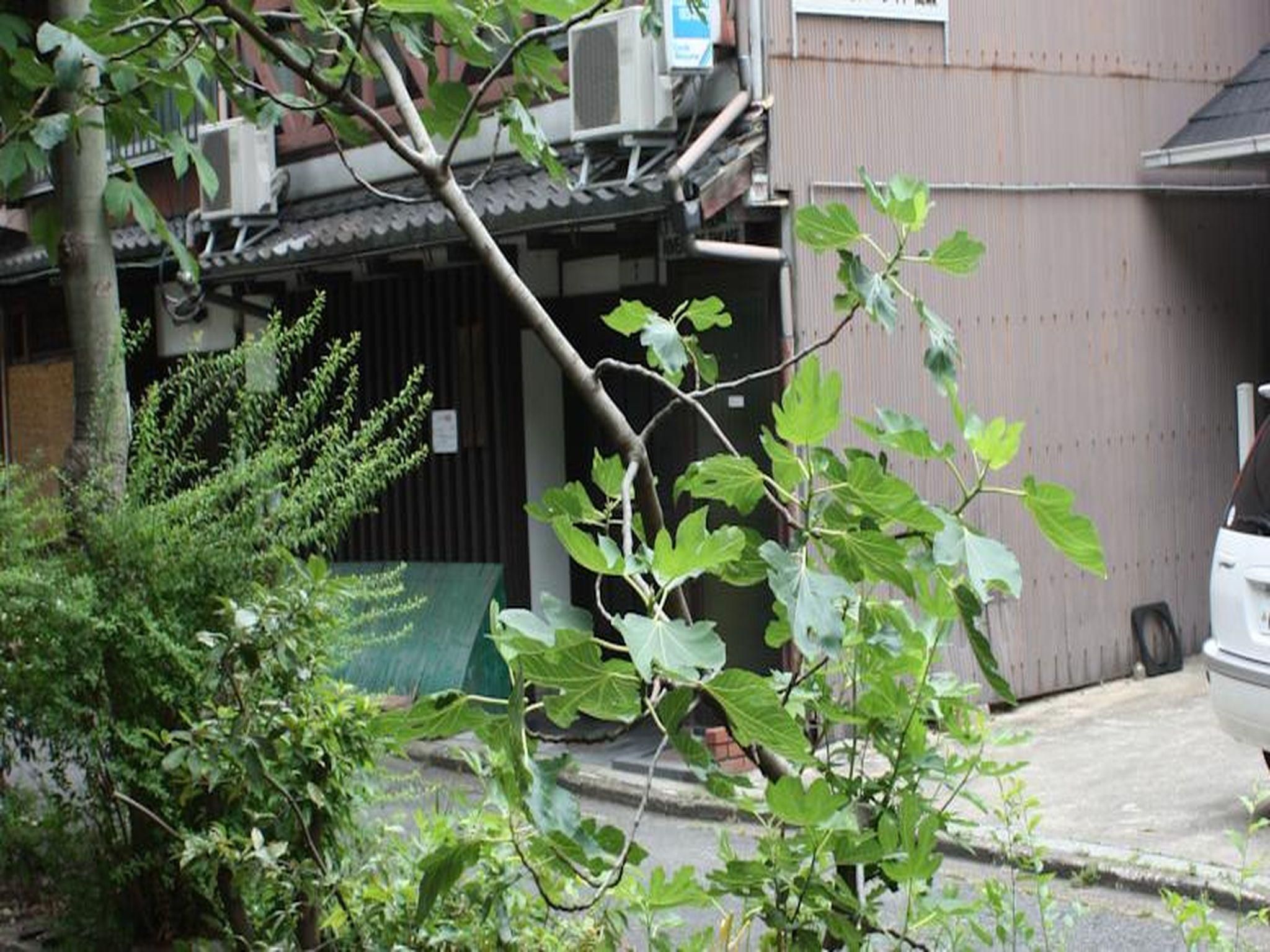 室外景