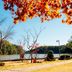室外景