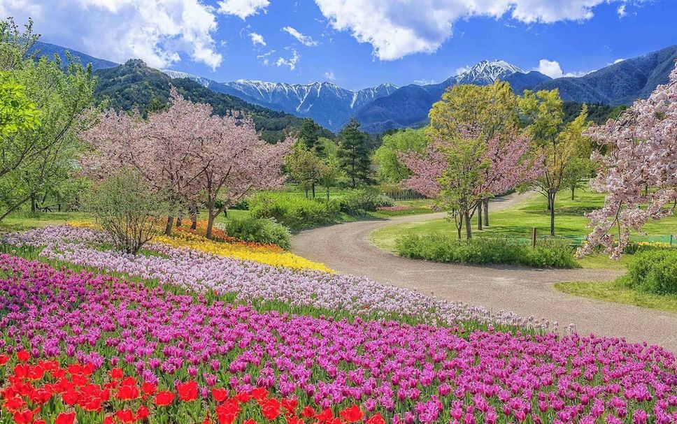 室外景 相片