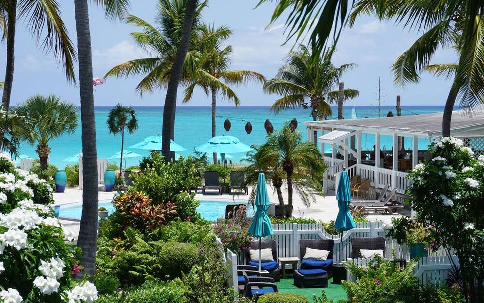 游泳池 相片