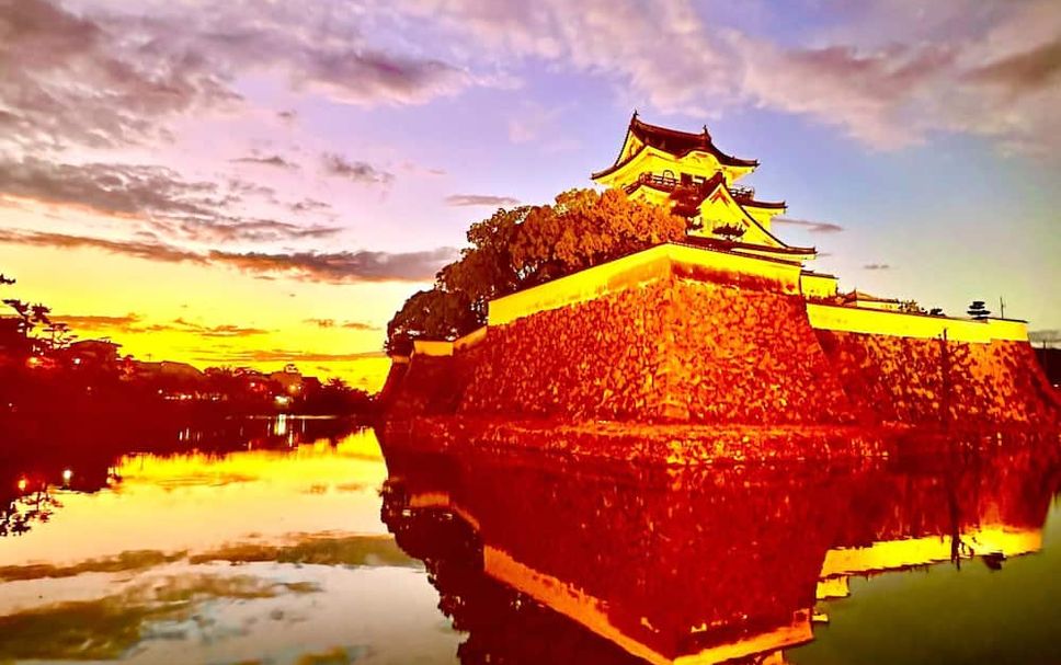 其他 相片
