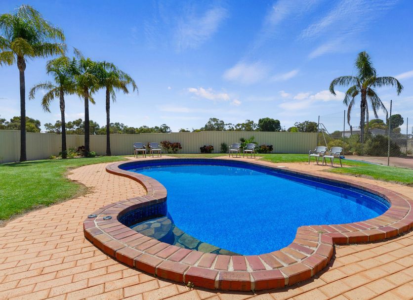游泳池 相片