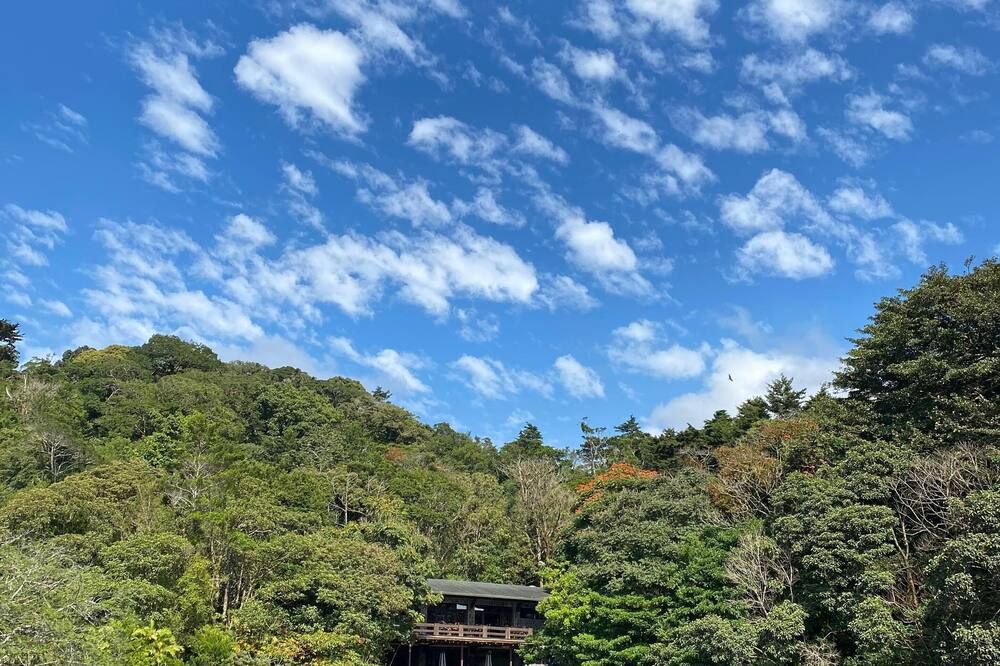 室外景