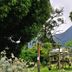 室外景