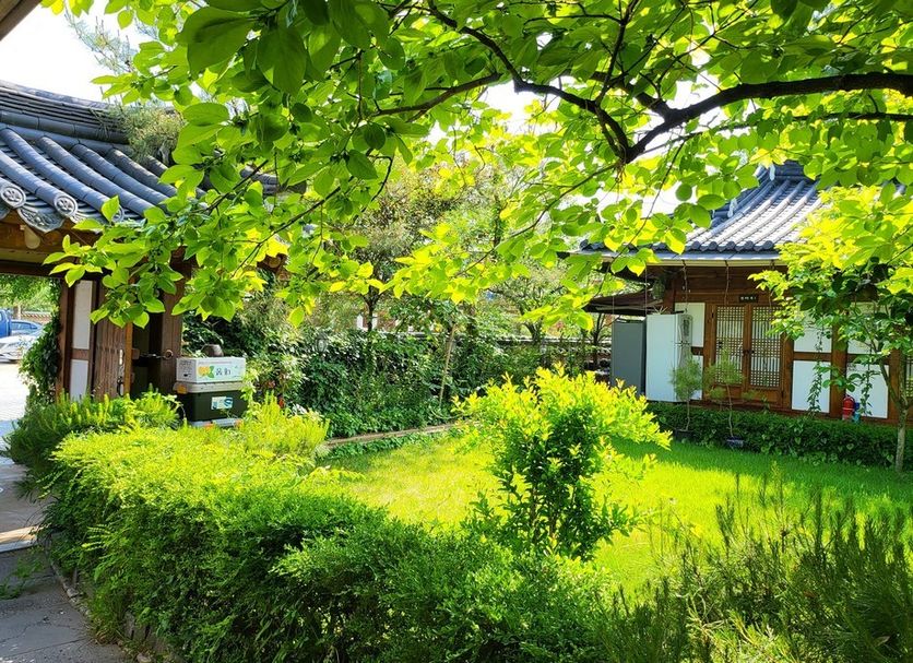 室外景 相片