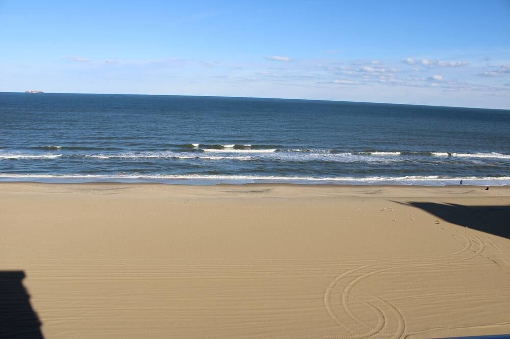 海灘