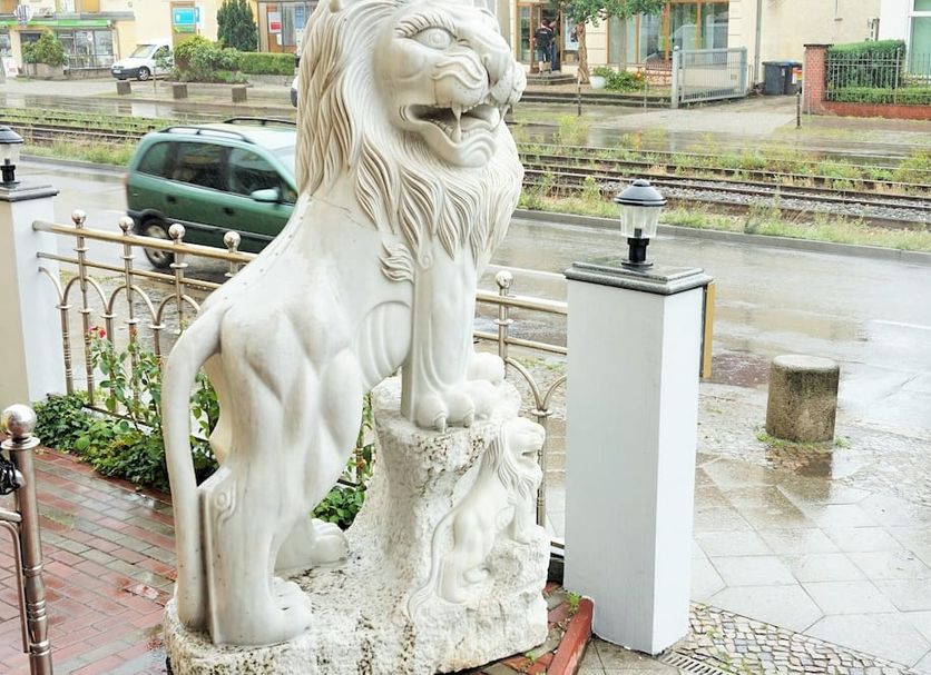 其他 相片