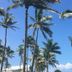 室外景