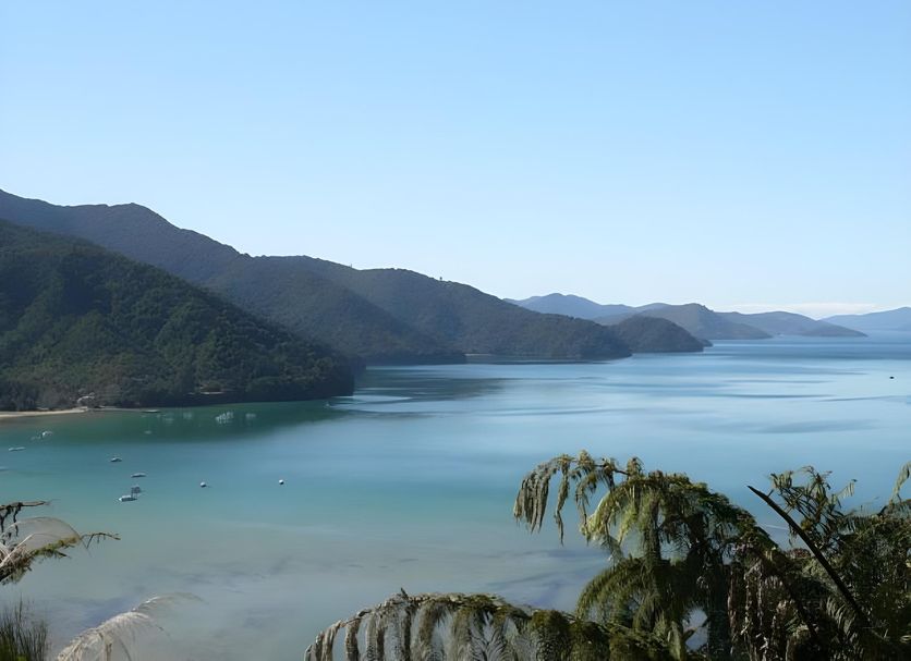 游泳池 相片