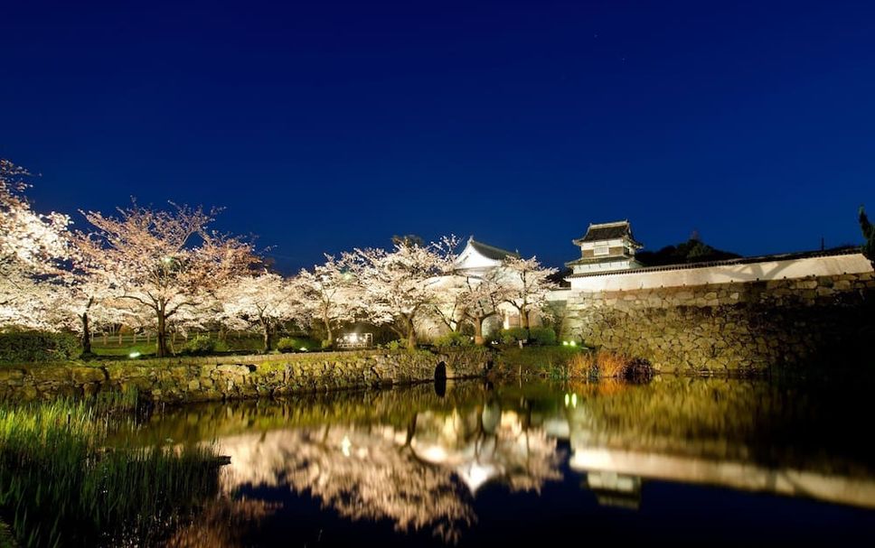 室外景 相片