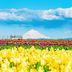 室外景