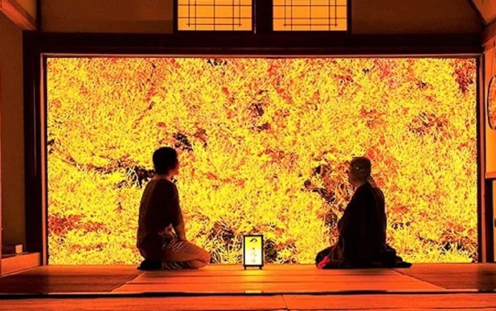 其他 相片