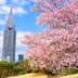 室外景