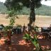 陽台