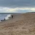 海灘