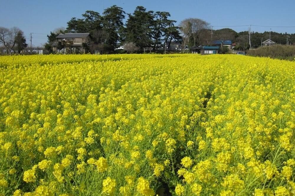 室外景