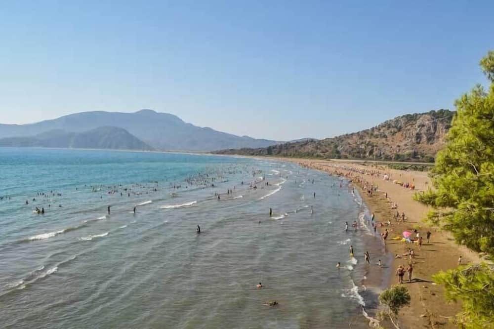 海灘