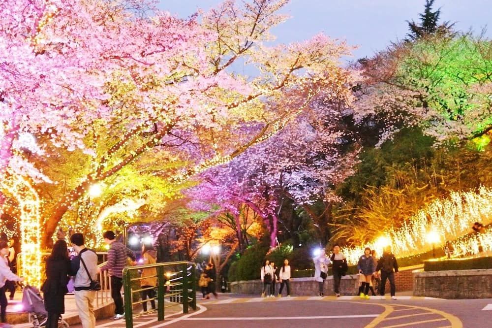 室外景
