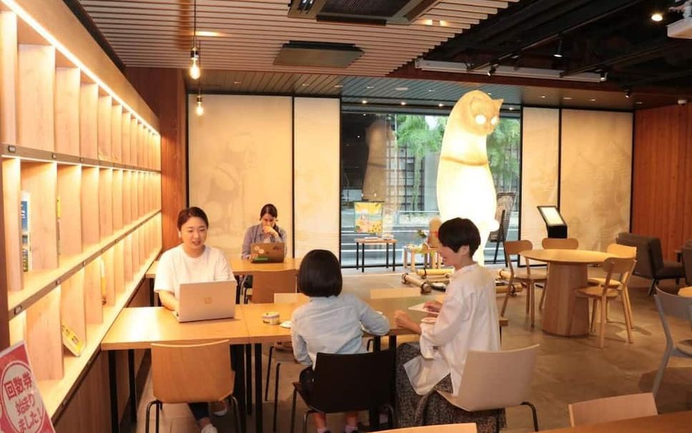 其他 相片