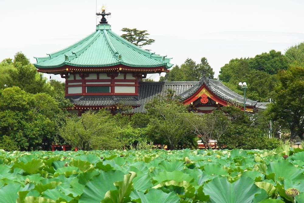 室外景