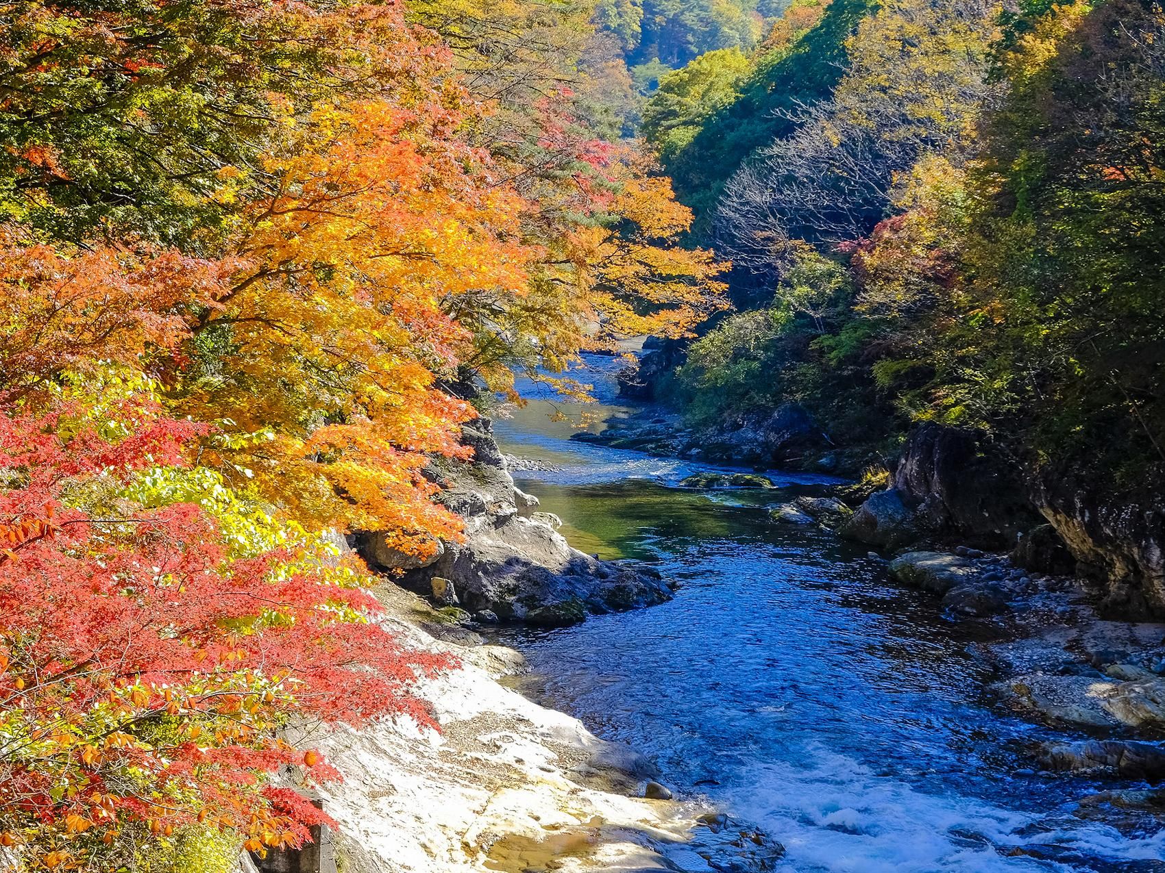 室外景