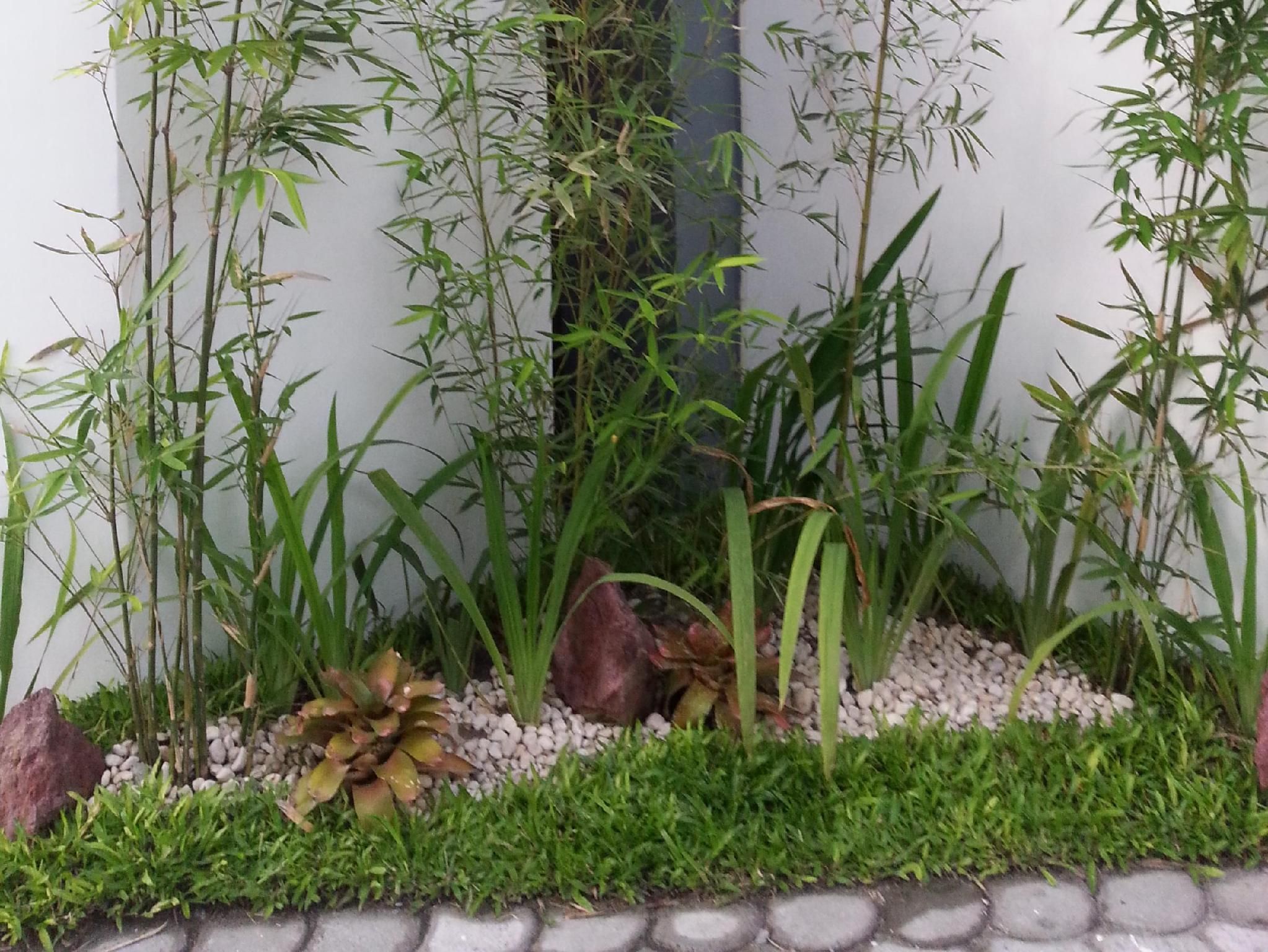 室外景