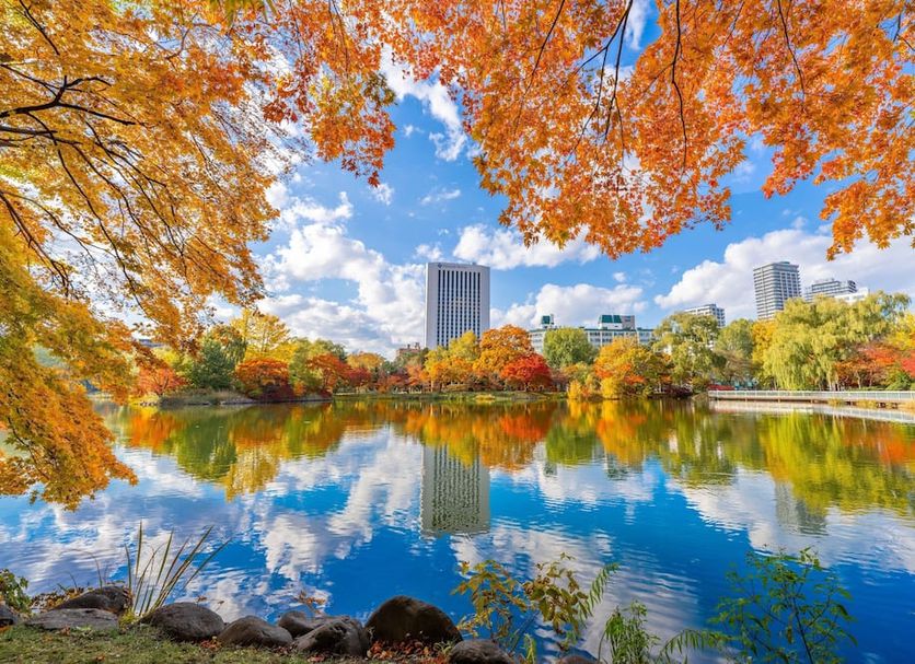 室外景 相片