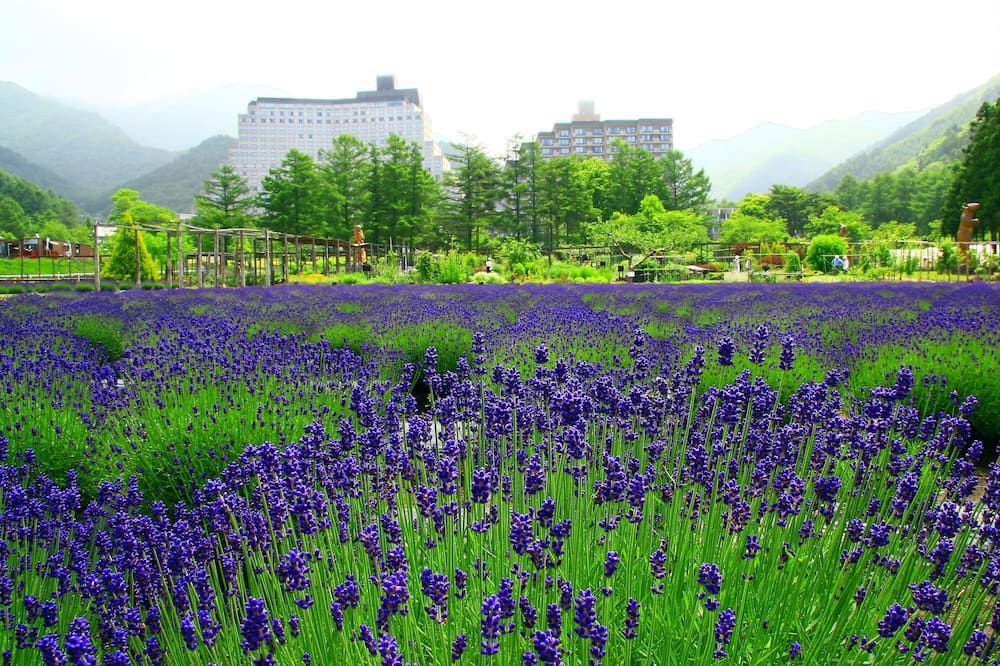 室外景