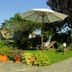 天井
