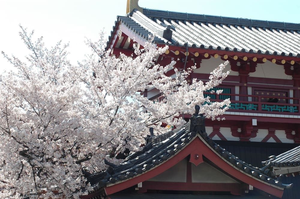 室外景