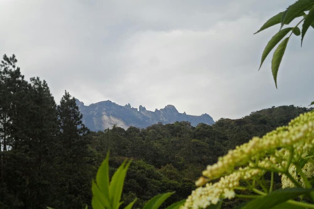 室外景 相片