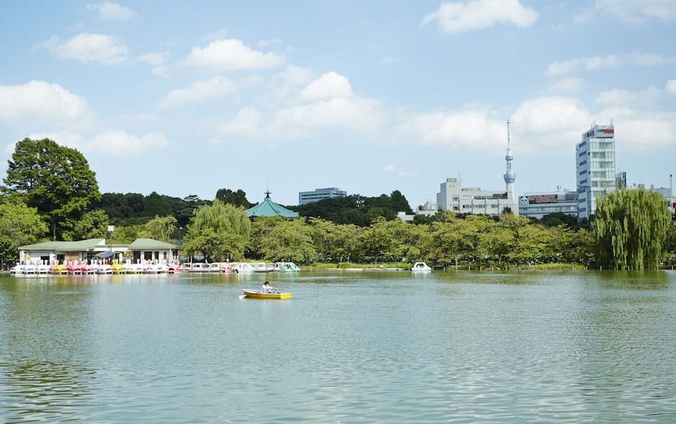 室外景 相片