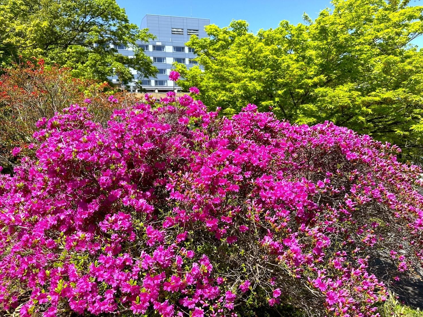 室外景