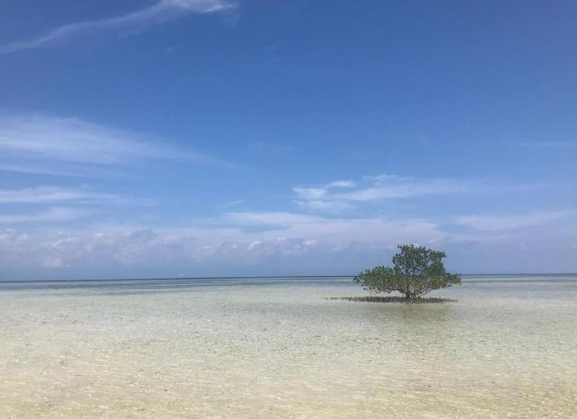海灘 相片