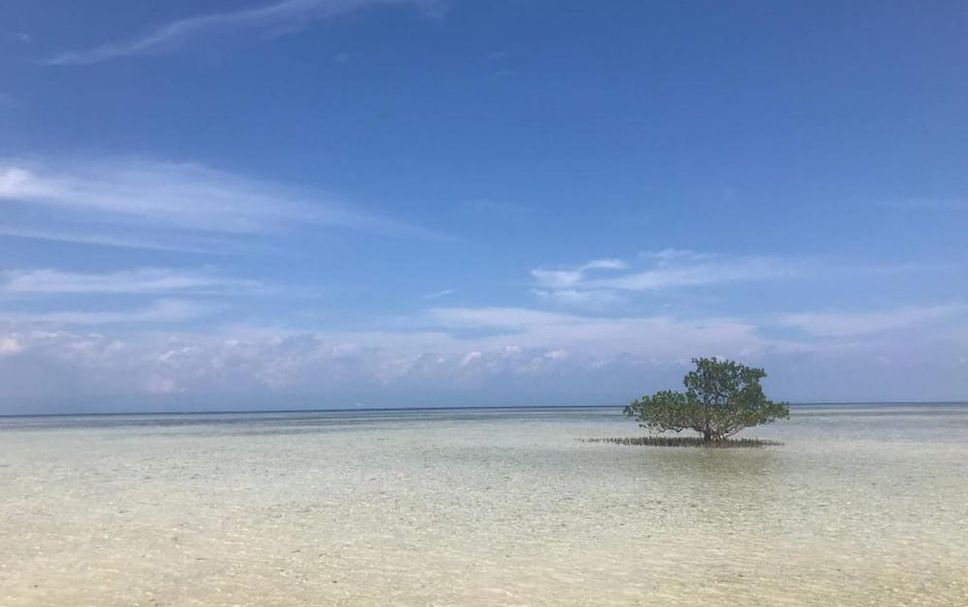海灘 相片