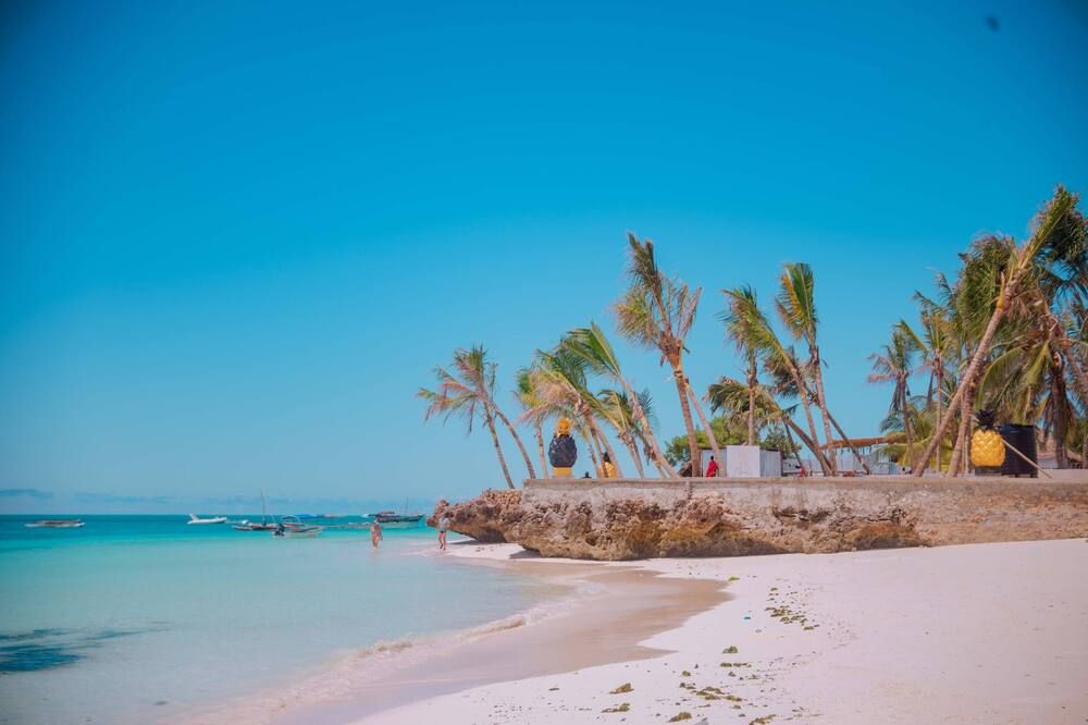海灘 相片